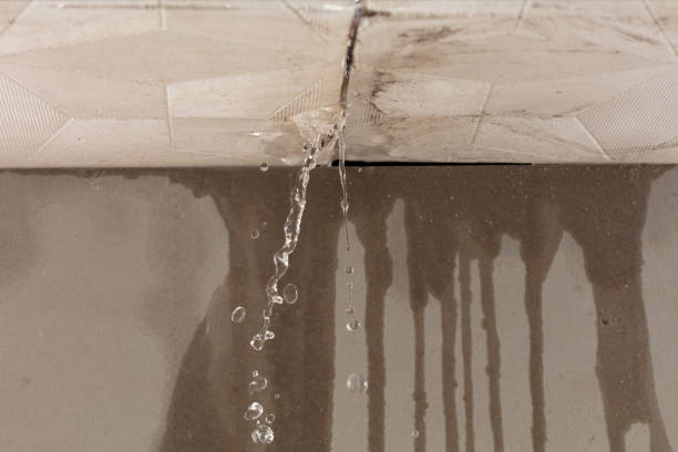 Professional Sewage Cleanup technician working in Orchard, CO